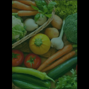 vegetable_original_copy_1